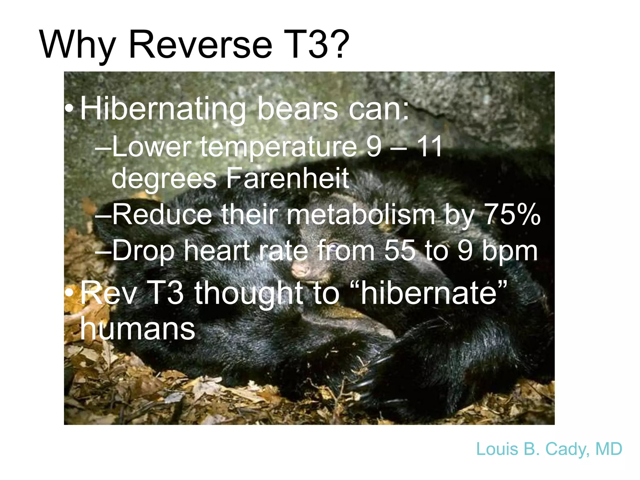 Why Reverse T3?
•Hibernating bears can:
–Lower temperature 9 – 11
degrees Farenheit
–Reduce their metabolism by 75%
–Drop heart rate from 55 to 9 bpm
•Rev T3 thought to “hibernate”
humans
Louis B. Cady, MD
 