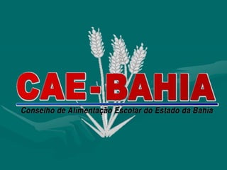 Cae.apresentação.capacitação.2