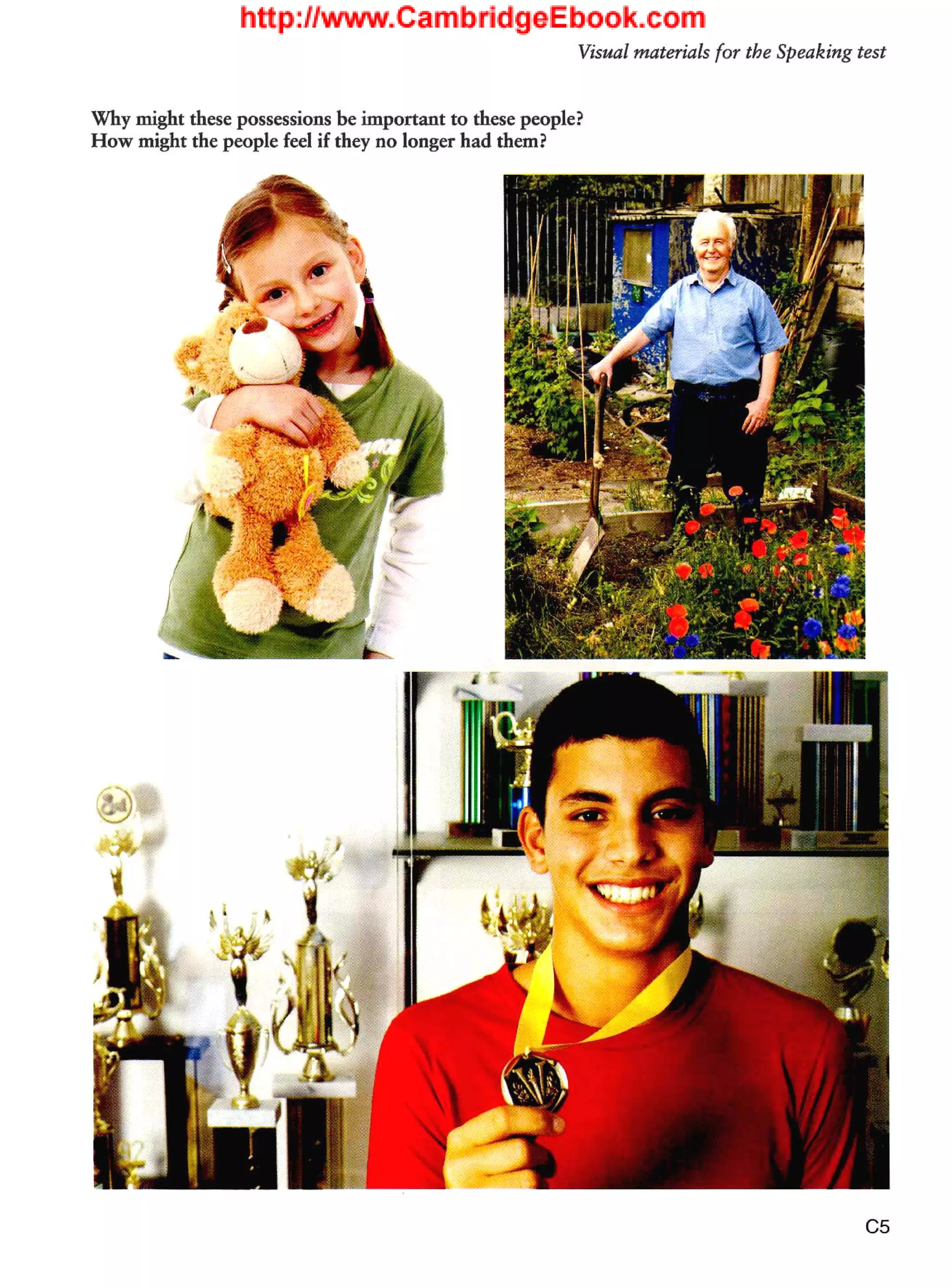 Cae cambridge certificate in advanced english 2