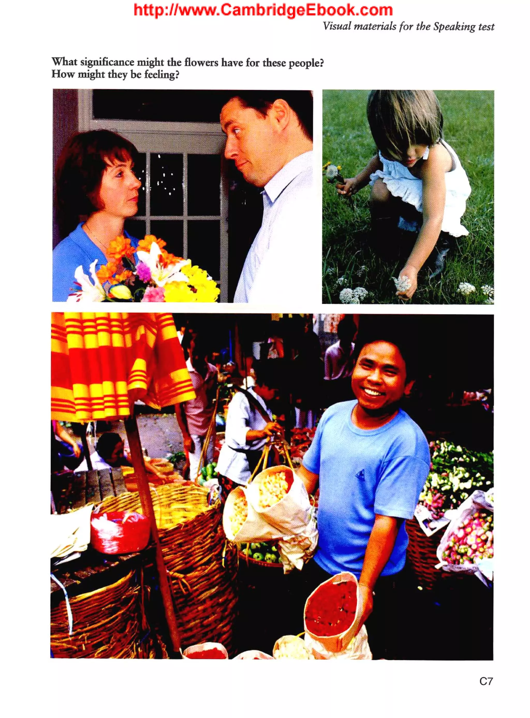 Cae cambridge certificate in advanced english 2