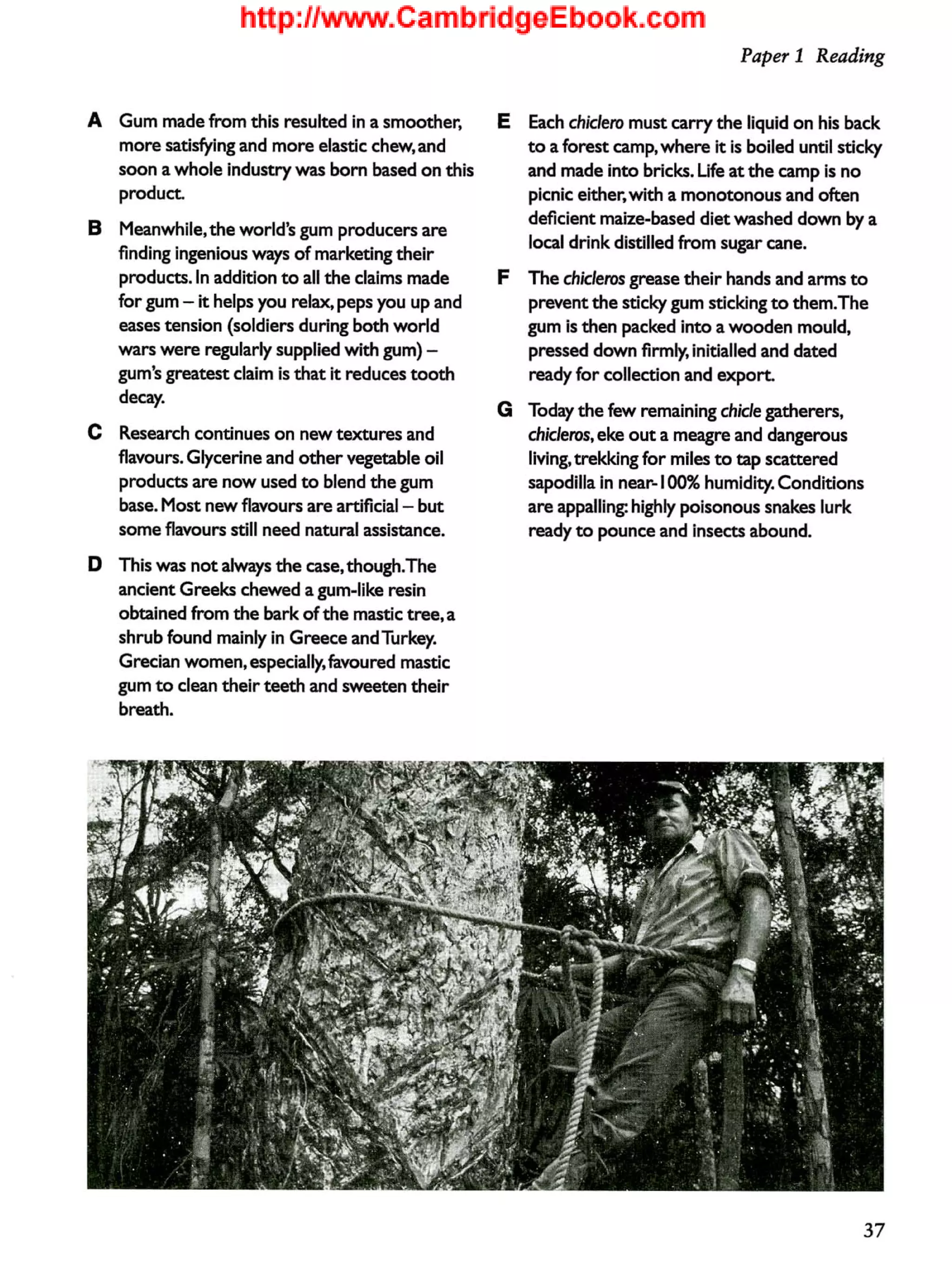 Cae cambridge certificate in advanced english 2