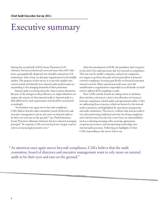 Chief Audit Executive Survey 2011 - perspectives and 