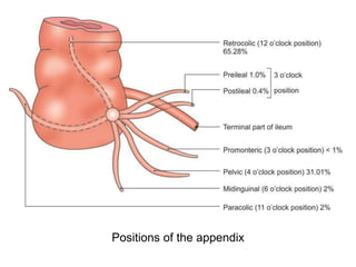 Caecum and vermiform appendix | PPTX