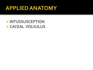 Anatomy of Caecum & Appendix.pptx