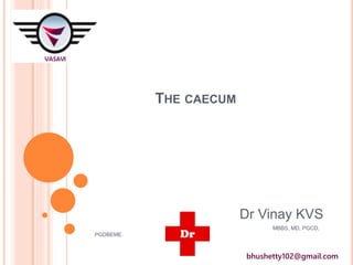 THE CAECUM
Dr Vinay KVS
MBBS, MD, PGCD,
PGDBEME.
bhushetty102@gmail.com
 