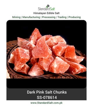 Standard Salt BROCHURE Standard-Salt-PDF | PDF