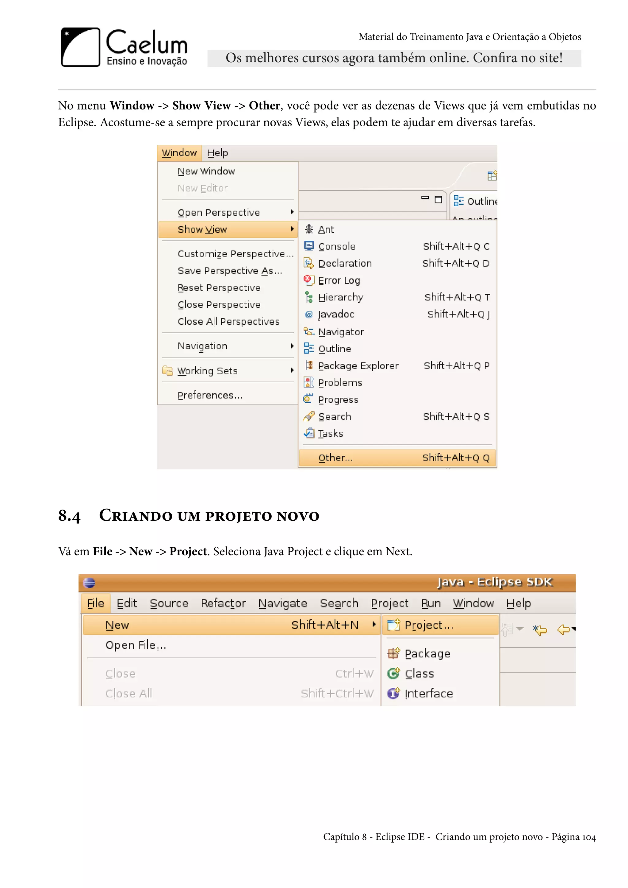 Material do Treinamento Java e Orientação a Objetos




No menu Window -> Show View -> Other, você pode ver as dezenas de Views que já vem embutidas no
Eclipse. Acostume-se a sempre procurar novas Views, elas podem te ajudar em diversas tarefas.




8.4     Criando um projeto novo
Vá em File -> New -> Project. Seleciona Java Project e clique em Next.




                                                    Capítulo 8 - Eclipse IDE - Criando um projeto novo - Página 104
 