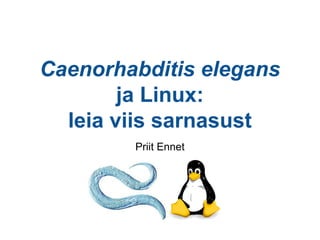 Caenorhabditis elegans
ja Linux:
leia viis sarnasust
Priit Ennet
 