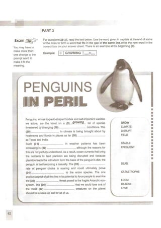 CAE practice tests. Student's book (2009)