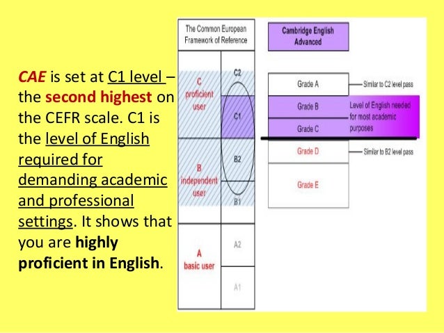 CAE exam