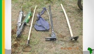 Realizing sustainable agricultural mechanisation01/12/2017
 