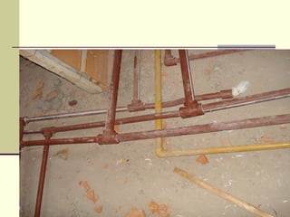 Cañerìa interna completa