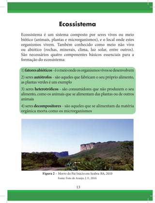 13
Ecossistema
Ecossistema é um sistema composto por seres vivos ou meio
biótico (animais, plantas e microrganismos), e o local onde estes
organismos vivem. Também conhecido como meio não vivo
ou abiótico (rochas, minerais, clima, luz solar, entre outros).
São necessários quatro componentes básicos essenciais para a
formação do ecossistema:
1)fatoresabióticos-éomeioondeosorganismosvivossedesenvolvem
2) seres autótrofos - são aqueles que fabricam o seu próprio alimento,
as plantas verdes é um exemplo
3) seres heterotróficos - são consumidores que não produzem o seu
alimento, como os animais que se alimentam das plantas ou de outros
animais
4) seres decompositores - são aqueles que se alimentam da matéria
orgânica morta como os microrganismos
Figura 2 – Morro do Pai Inácio em Seabra-BA, 2010
Fonte: Foto de Araújo, J. F., 2010.
 