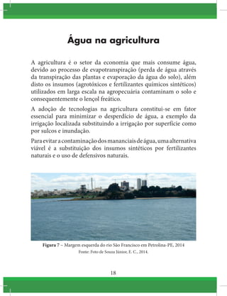 18
Água na agricultura
A agricultura é o setor da economia que mais consume água,
devido ao processo de evapotranspiração (perda de água através
da transpiração das plantas e evaporação da água do solo), além
disto os insumos (agrotóxicos e fertilizantes químicos sintéticos)
utilizados em larga escala na agropecuária contaminam o solo e
consequentemente o lençol freático.
A adoção de tecnologias na agricultura constitui-se em fator
essencial para minimizar o desperdício de água, a exemplo da
irrigação localizada substituindo a irrigação por superfície como
por sulcos e inundação.
Paraevitaracontaminaçãodosmananciaisdeágua,umaalternativa
viável é a substituição dos insumos sintéticos por fertilizantes
naturais e o uso de defensivos naturais.
Figura 7 – Margem esquerda do rio São Francisco em Petrolina-PE, 2014
Fonte: Foto de Souza Júnior, E. C., 2014.
 