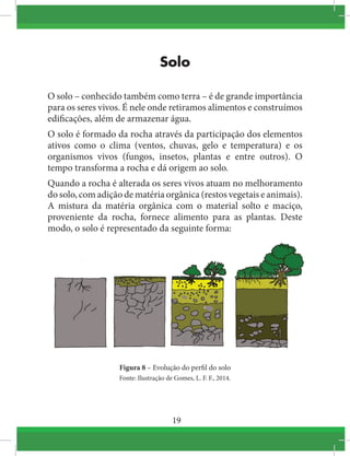 19
Solo
O solo – conhecido também como terra – é de grande importância
para os seres vivos. É nele onde retiramos alimentos e construímos
edificações, além de armazenar água.
O solo é formado da rocha através da participação dos elementos
ativos como o clima (ventos, chuvas, gelo e temperatura) e os
organismos vivos (fungos, insetos, plantas e entre outros). O
tempo transforma a rocha e dá origem ao solo.
Quando a rocha é alterada os seres vivos atuam no melhoramento
do solo, com adição de matéria orgânica (restos vegetais e animais).
A mistura da matéria orgânica com o material solto e maciço,
proveniente da rocha, fornece alimento para as plantas. Deste
modo, o solo é representado da seguinte forma:
Figura 8 – Evolução do perfil do solo
Fonte: Ilustração de Gomes, L. F. F., 2014.
 