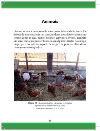 24
Animais
O reino animal é composto de seres essenciais à vida humana. Ele
é fonte de alimento, pois são consumidores e produtores ao mesmo
tempo, como as aves, peixes, bovinos, caprinos e ovinos. Também
são seres que ajudam o ser humano em algumas tarefas no campo,
no preparo do solo, transporte de carga e de pessoas, além disso,
servem como companhia.
Figura 14 –Aviário móvel no parque de exposições
agropecuária de Salvador-BA, 2012
Fonte: Foto de Gomes, V. H. F., 2012.
 