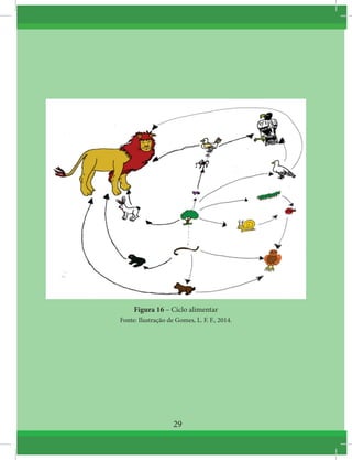 Figura 16 – Ciclo alimentar
Fonte: Ilustração de Gomes, L. F. F., 2014.
29
 