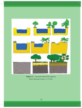 Figura 17 – Sucessão natural das espécies
Fonte: Ilustração Gomes, L. F. F. 2014.
31
 