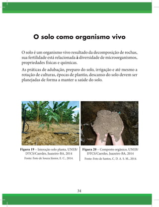 34
O solo como organismo vivo
O solo é um organismo vivo resultado da decomposição de rochas,
sua fertilidade está relacionada à diversidade de microorganismos,
propriedades físicas e químicas.
As práticas de adubação, preparo do solo, irrigação e até mesmo a
rotação de culturas, épocas de plantio, descanso do solo devem ser
planejadas de forma a manter a saúde do solo.
Figura 19 – Interação solo planta, UNEB/
DTCS/Caerdes, Juazeiro-BA, 2014
Fonte: Foto de Souza Júnior, E. C., 2014.
Figura 20 – Composto orgânico, UNEB/
DTCS/Caerdes, Juazeiro-BA, 2014
Fonte: Foto de Santos, C. D. A. S. M., 2014.
 