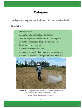 43
Calagem
A calagem é uma prática utilizada para diminuir a acidez do solo.
Benefícios
•	 fornece cálcio
•	 aumenta a disponibilidade de fósforo
•	 diminui a quantidade de alumínio e manganês
•	 aumenta a agregação das partículas do solo
•	 Diminui a compactação
•	 Amplia o sistema radicular
•	 aumenta a absorção da água e nutrientes do solo
•	 Aumenta a resistência das plantas ao stress hídrico
Figura 25 – Calagem manual realizada na área experimental da
UNEB/DTCS/Caerdes, Juazeiro-BA, 2014
Fonte: Foto de Souza Júnior, E. C., 2014.
 