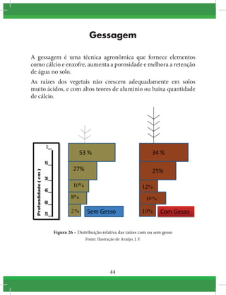 44
Gessagem
A gessagem é uma técnica agronômica que fornece elementos
como cálcio e enxofre, aumenta a porosidade e melhora a retenção
de água no solo.
As raízes dos vegetais não crescem adequadamente em solos
muito ácidos, e com altos teores de alumínio ou baixa quantidade
de cálcio.
Figura 26 – Distribuição relativa das raízes com ou sem gesso
Fonte: Ilustração de Araújo, J. F.
 