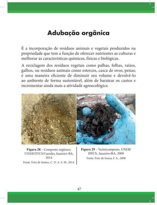 47
Adubação orgânica
É a incorporação de resíduos animais e vegetais produzidos na
propriedade que tem a função de oferecer nutrientes as culturas e
melhorar as características químicas, físicas e biológicas.
A reciclagem dos resíduos vegetais como palhas, folhas, raízes,
galhos, ou resíduos animais como estercos, casca de ovos, penas,
é uma maneira eficiente de diminuir seu volume e devolvê-lo
ao ambiente de forma sustentável, além de baratear os custos e
incrementar ainda mais a atividade agroecológica.
Figura 28 – Composto orgânico,
UNEB/DTCS/Caerdes, Juazeiro-BA,
2014
Fonte: Foto de Santos, C. D. A. S. M., 2014.
Figura 29 – Vermicomposto, UNEB/
DTCS, Juazeiro-BA, 2008
Fonte: Foto de Souza, F. A., 2008
 