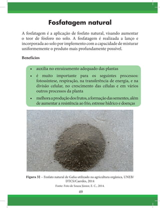 49
Fosfatagem natural
A fosfatagem é a aplicação de fosfato natural, visando aumentar
o teor de fósforo no solo. A fosfatagem é realizada a lanço e
incorporada ao solo por implemento com a capacidade de misturar
uniformemente o produto mais profundamente possível.
Benefícios
•	 auxilia no enraizamento adequado das plantas
•	 é muito importante para os seguintes processos:
fotossíntese, respiração, na transferência de energia, e na
divisão celular, no crescimento das células e em vários
outros processos da planta
•	 melhoraaproduçãodosfrutos,aformaçãodassementes,além
de aumentar a resistência ao frio, estresse hídrico e doenças
Figura 32 – Fosfato natural de Gafsa utilizado na agricultura orgânica, UNEB/
DTCS/Caerdes, 2014
Fonte: Foto de Souza Júnior, E. C., 2014.
 