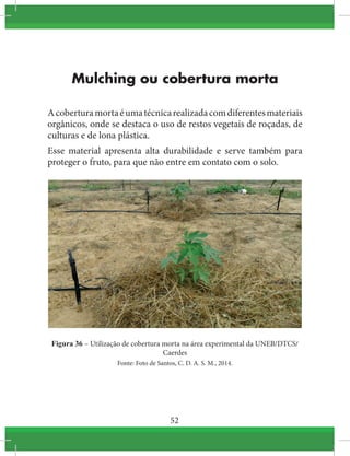 52
Mulching ou cobertura morta
Acoberturamortaéumatécnicarealizadacomdiferentesmateriais
orgânicos, onde se destaca o uso de restos vegetais de roçadas, de
culturas e de lona plástica.
Esse material apresenta alta durabilidade e serve também para
proteger o fruto, para que não entre em contato com o solo.
Figura 36 – Utilização de cobertura morta na área experimental da UNEB/DTCS/
Caerdes
Fonte: Foto de Santos, C. D. A. S. M., 2014.
 