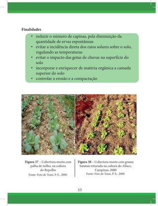 53
Finalidades
•	 reduzir o número de capinas, pela diminuição da
quantidade de ervas espontâneas
•	 evitar a incidência direta dos raios solares sobre o solo,
regulando as temperaturas
•	 evitar o impacto das gotas de chuvas na superfície do
solo
•	 incorporar e enriquecer de matéria orgânica a camada
superior do solo
•	 controlar a erosão e a compactação
Figura 37 – Cobertura morta com
palha de milho, na cultura
do Repolho
Fonte: Foto de Trani, P. E., 2000.
Figura 38 – Cobertura morta com grama
batatais triturada na cultura do Alface,
Campinas, 2000
Fonte: Foto de Trani, P. E., 2000.
 