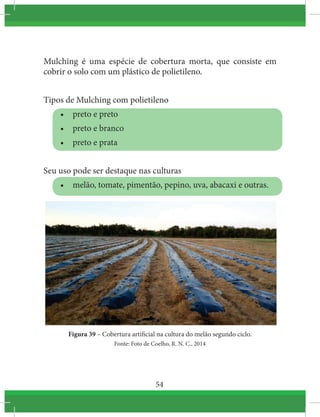 54
Mulching é uma espécie de cobertura morta, que consiste em
cobrir o solo com um plástico de polietileno.
Tipos de Mulching com polietileno
•	 preto e preto
•	 preto e branco
•	 preto e prata
Seu uso pode ser destaque nas culturas
•	 melão, tomate, pimentão, pepino, uva, abacaxi e outras.
Figura 39 – Cobertura artificial na cultura do melão segundo ciclo.
Fonte: Foto de Coelho, R. N. C., 2014
 