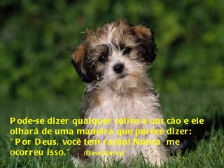 Pode-se dizer qualquer tolice a um cão e ele  olhará de uma maneira que parece dizer: ”Por Deus, você tem razão! Nunca  me ocorreu isso.”   (Dave Barry)  