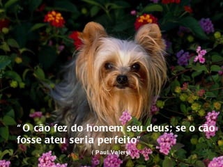 “ O cão fez do homem seu deus; se o cão fosse ateu seria perfeito”   ( Paul Valery) 