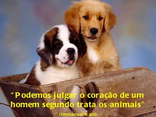 “ Podemos julgar o coração de um homem segundo trata os animais”  (Immanuel Kant) 