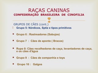 GRUPOS DE CÂES (cont.)
 Grupo 5: Nórdicos, Sptiz e tipos primitivos
 Grupo 6 : Rastreadores (Sabujos)
 Grupo 7 : Cães de aponte ( Bracos)
 Rupo 8: Cães recolhedores de caça, levantadores de caça,
e os cães d'água
 Grupo 9 : Cães de companhia e toys
 Grupo 10 : Galgos
RAÇAS CANINAS
CONFEDERAÇÃO BRASILEIRA DE CINOFILIA
 