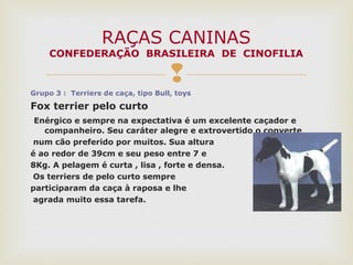 
Grupo 3 : Terriers de caça, tipo Bull, toys
Fox terrier pelo curto
Enérgico e sempre na expectativa é um excelente caçador e
companheiro. Seu caráter alegre e extrovertido o converte
num cão preferido por muitos. Sua altura
é ao redor de 39cm e seu peso entre 7 e
8Kg. A pelagem é curta , lisa , forte e densa.
Os terriers de pelo curto sempre
participaram da caça à raposa e lhe
agrada muito essa tarefa.
RAÇAS CANINAS
CONFEDERAÇÃO BRASILEIRA DE CINOFILIA
 
