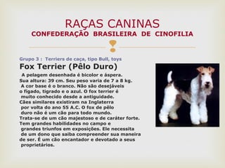
Grupo 3 : Terriers de caça, tipo Bull, toys
Fox Terrier (Pêlo Duro)
A pelagem desenhada é bicolor e áspera.
Sua altura: 39 cm. Seu peso varia de 7 a 8 kg.
A cor base é o branco. Não são desejáveis
o fígado, tigrado e o azul. O fox terrier é
muito conhecido desde a antiguidade.
Cães similares existiram na Inglaterra
por volta do ano 55 A.C. O fox de pêlo
duro não é um cão para todo mundo.
Trata-se de um cão majestoso e de caráter forte.
Tem grandes habilidades no campo e
grandes triunfos em exposições. Ele necessita
de um dono que saiba compreender sua maneira
de ser. É um cão encantador e devotado a seus
proprietários.
RAÇAS CANINAS
CONFEDERAÇÃO BRASILEIRA DE CINOFILIA
 