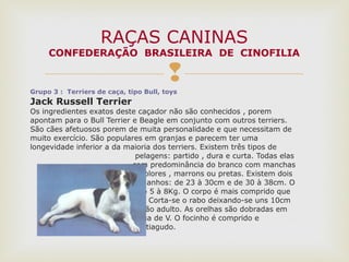 Grupo 3 : Terriers de caça, tipo Bull, toys
Jack Russell Terrier
Os ingredientes exatos deste caçador não são conhecidos , porem
apontam para o Bull Terrier e Beagle em conjunto com outros terriers.
São cães afetuosos porem de muita personalidade e que necessitam de
muito exercício. São populares em granjas e parecem ter uma
longevidade inferior a da maioria dos terriers. Existem três tipos de
pelagens: partido , dura e curta. Todas elas
com predominância do branco com manchas
tricolores , marrons ou pretas. Existem dois
tamanhos: de 23 à 30cm e de 30 à 38cm. O
peso 5 à 8Kg. O corpo é mais comprido que
alto. Corta-se o rabo deixando-se uns 10cm
no cão adulto. As orelhas são dobradas em
forma de V. O focinho é comprido e
pontiagudo.
RAÇAS CANINAS
CONFEDERAÇÃO BRASILEIRA DE CINOFILIA
 