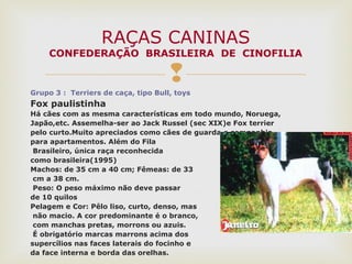 
Grupo 3 : Terriers de caça, tipo Bull, toys
Fox paulistinha
Há cães com as mesma características em todo mundo, Noruega,
Japão,etc. Assemelha-ser ao Jack Russel (sec XIX)e Fox terrier
pelo curto.Muito apreciados como cães de guarda e companhia
para apartamentos. Além do Fila
Brasileiro, única raça reconhecida
como brasileira(1995)
Machos: de 35 cm a 40 cm; Fêmeas: de 33
cm a 38 cm.
Peso: O peso máximo não deve passar
de 10 quilos
Pelagem e Cor: Pêlo liso, curto, denso, mas
não macio. A cor predominante é o branco,
com manchas pretas, morrons ou azuis.
É obrigatório marcas marrons acima dos
supercílios nas faces laterais do focinho e
da face interna e borda das orelhas.
RAÇAS CANINAS
CONFEDERAÇÃO BRASILEIRA DE CINOFILIA
 
