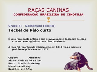 
Grupo 4 : Dachshund (Teckel)
Teckel de Pêlo curto
É uma raça muito antiga e que provavelmente descende de cães
criados pelos egípcios como cães de alarme.
A raça foi reconhecida oficialmente em 1840 mas o primeiro
padrão foi publicado em 1879.
Origem: Alemanha
Altura: Varia de 26 a 37cm
Peso: Standard: até 9kg
Miniatura: até 4kg
Kanichen: até 3,5kg
RAÇAS CANINAS
CONFEDERAÇÃO BRASILEIRA DE CINOFILIA
 