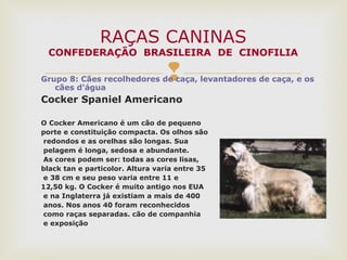 Grupo 8: Cães recolhedores de caça, levantadores de caça, e os
cães d'água
Cocker Spaniel Americano
O Cocker Americano é um cão de pequeno
porte e constituição compacta. Os olhos são
redondos e as orelhas são longas. Sua
pelagem é longa, sedosa e abundante.
As cores podem ser: todas as cores lisas,
black tan e particolor. Altura varia entre 35
e 38 cm e seu peso varia entre 11 e
12,50 kg. O Cocker é muito antigo nos EUA
e na Inglaterra já existiam a mais de 400
anos. Nos anos 40 foram reconhecidos
como raças separadas. cão de companhia
e exposição
RAÇAS CANINAS
CONFEDERAÇÃO BRASILEIRA DE CINOFILIA
 