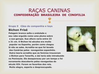 
Grupo 9 Cães de companhia e toys
Bichon Frisé
Pelagem branca solta e ondulada e
seu rabo erguido como uma pluma sobre
a sua garupa. Sua altura varia entre 23
e 31 cm. O Bichon há séculos era muito
popular na Espanha, porém como chegou
lá não se sabe. Acredita-se que foi levado
das Canárias pelos navegantes espanhóis.
Outra teoria acredita que os fenícios trouxeram
o Bichon para Tenerife, e daí teria sido introduzido
na Península. Ele desapareceu por um tempo e foi
novamente descoberto pelos navegantes do
século XIV. Foram os favoritos dos reis.
Muito alegre, esperto e despreocupado.
RAÇAS CANINAS
CONFEDERAÇÃO BRASILEIRA DE CINOFILIA
 