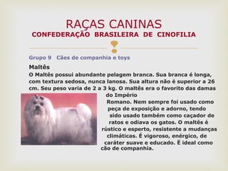 Grupo 9 Cães de companhia e toys
Maltês
O Maltês possui abundante pelagem branca. Sua branca é longa,
com textura sedosa, nunca lanosa. Sua altura não é superior a 26
cm. Seu peso varia de 2 a 3 kg. O maltês era o favorito das damas
do Império
Romano. Nem sempre foi usado como
peça de exposição e adorno, tendo
sido usado também como caçador de
ratos e odiava os gatos. O maltês é
rústico e esperto, resistente a mudanças
climáticas. É vigoroso, enérgico, de
caráter suave e educado. Ë ideal como
cão de companhia.
RAÇAS CANINAS
CONFEDERAÇÃO BRASILEIRA DE CINOFILIA
 
