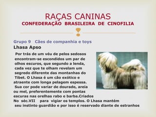 
Grupo 9 Cães de companhia e toys
Lhasa Apso
Por trás de um véu de pelos sedosos
encontram-se escondidos um par de
olhos escuros, que segundo a lenda,
cada vez que te olham revelam um
segredo diferente das montanhas do
Tibet. O Lhasa é um cão exótico e
atraente com longa pelagem espessa.
Sua cor pode variar de dourado, areia
ou mel, preferentemente com pontas
escuras nas orelhas rabo e barba.Criados
No séc.VII para vigiar os templos. O Lhasa mantém
seu instinto guardião e por isso é reservado diante de estranhos
RAÇAS CANINAS
CONFEDERAÇÃO BRASILEIRA DE CINOFILIA
 