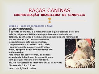 
Grupo 9 Cães de companhia e toys
BICHON BOLONHÊS
É parente do maltês, e o mais provável é que descenda dele. seu
país de origem é a Itália e mais precisamente, a cidade de
Bolonha, que lhe deu o nome, sendo as suas origens remotas: já
nos séculos XI e XII eram apreciados
especialmente pela graça e beleza.
Comportamento e caráter: muito sério
, aparentemente pouco vivaz. Criativo,
dócil, apegado a seus companheiros até
a abnegação.
Pêlo longo por todo o corpo, da cabeça
à cauda, da linha dorsal às patas. Branco
sem qualquer mancha ou tonalidade.
altura na cernelha: machos de 27 a 30 cm;
fêmeas de 25 a 28 cm.
peso: de 2,5 a 4 quilos.
RAÇAS CANINAS
CONFEDERAÇÃO BRASILEIRA DE CINOFILIA
 