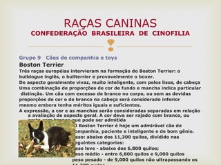 
Grupo 9 Cães de companhia e toys
Boston Terrier
Três raças européias intervieram na formação do Boston Terrier: o
bulldogue inglês, o bullterrier e provavelmente o boxer.
De aspecto geralmente vivaz, muito inteligente, com pelos lisos, de cabeça
Uma combinação de proporções de cor de fundo e mancha indica particular
distinção. Um cão com excesso de branco no corpo, ou sem as devidas
proporções de cor e de branco na cabeça será considerado inferior
mesmo embora tenha méritos iguais e suficientes.
A expressão, a cor e as manchas serão consideradas separadas em relação
a avaliação de aspecto geral. A cor deve ser rajado com branco, ou
preto com branco que pode ser admitida
O Boston Terrier é hoje um admirável cão de
companhia, paciente e inteligente e de bom gênio.
peso: abaixo dos 11,300 quilos, dividido nas
seguintes categorias:
peso leve - abaixo dos 6,800 quilos;
peso médio - entre 6,800 quilos e 9,000 quilos
peso pesado - de 9,000 quilos não ultrapassando os
RAÇAS CANINAS
CONFEDERAÇÃO BRASILEIRA DE CINOFILIA
 