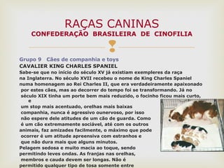 
Grupo 9 Cães de companhia e toys
CAVALIER KING CHARLES SPANIEL
Sabe-se que no início do século XV já existiam exempleres da raça
na Inglaterra. No século XVII recebeu o nome de King Charles Spaniel
numa homenagem ao Rei Charles II, que era verdadeiramente apaixonado
por estes cães, mas ao decorrer do tempo foi se transformando. Já no
século XIX tinha um porte bem mais reduzido, o focinho ficou mais curto,
e
um stop mais acentuado, orelhas mais baixas
companhia, nunca é agressivo ounervoso, por isso
não espere dele atitudes de um cão de guarda. Como
é um cão extremamente sociável, até com os outros
animais, faz amizades facilmente, o máximo que pode
ocorrer é um atitude apreensiva com estranhos e
que não dura mais que alguns minutos.
Pelagem sedosa e muito macia ao toque, sendo
permitindo leves ondas. As franjas nas orelhas,
membros e cauda devem ser longas. Não é
permitido qualquer tipo de tosa somente entre
RAÇAS CANINAS
CONFEDERAÇÃO BRASILEIRA DE CINOFILIA
 