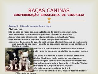 
Grupo 9 Cães de companhia e toys
Chihuahua
São poucas as raças caninas autóctones do continente americano,
mas entre elas há uma tão antiga como célebre: o chihuahua.
Apesar das suas dimensões reduzidíssimas, o chihuahua. Possui
uma natureza forte e caça em forma insuperável roedores
pequenos. Como cão de guarda está sempre alerta; interessa-se muito pelo
que sucede ao seu redor; quanto se conseguir ganhar a sua confiança, é
fiel até a morte.
O Chihuahua é considerado a menor raça do mundo:
não são raros os exemplares adultos que pesam menos
de um quilo. Ele recebe o nome do maior estado da
República Mexicana, onde supõe-se que viveu em
estado selvagem tendo sido capturado e domesticado
pelos indígenas durante a época da civilização "Toltec
Varia entre os 500 gramas e os 3 quilos
preferindo-se os exemplares de 1 a 2
quilos. Os cães com mais de 3 kg são desqualificados.
Pêlo curto ou longo.
RAÇAS CANINAS
CONFEDERAÇÃO BRASILEIRA DE CINOFILIA
 