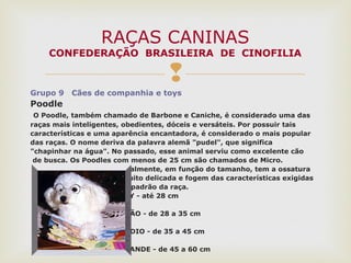 
Grupo 9 Cães de companhia e toys
Poodle
O Poodle, também chamado de Barbone e Caniche, é considerado uma das
raças mais inteligentes, obedientes, dóceis e versáteis. Por possuir tais
características e uma aparência encantadora, é considerado o mais popular
das raças. O nome deriva da palavra alemã "pudel", que significa
"chapinhar na água". No passado, esse animal serviu como excelente cão
de busca. Os Poodles com menos de 25 cm são chamados de Micro.
Geralmente, em função do tamanho, tem a ossatura
muito delicada e fogem das características exigidas
no padrão da raça.
TOY - até 28 cm
ANÃO - de 28 a 35 cm
MÉDIO - de 35 a 45 cm
GRANDE - de 45 a 60 cm
RAÇAS CANINAS
CONFEDERAÇÃO BRASILEIRA DE CINOFILIA
 