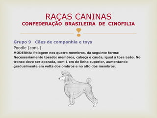 
Grupo 9 Cães de companhia e toys
Poodle (cont.)
MODERNA: Pelagem nos quatro membros, da seguinte forma:
Necessariamente tosado: membros, cabeça e cauda, igual a tosa Leão. No
tronco deve ser aparada, com 1 cm de linha superior, aumentando
gradualmente em volta dos ombros e no alto dos membros.
RAÇAS CANINAS
CONFEDERAÇÃO BRASILEIRA DE CINOFILIA
 