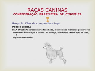 Grupo 9 Cães de companhia e toys
Poodle (cont.)
SELA INGLESA: acrescentar à tosa Leão, motivos nos membros posteriores,
braceletes nos braços e punho. Na cabeça, um topete. Neste tipo de tosa,
o
bigode é facultativo.
RAÇAS CANINAS
CONFEDERAÇÃO BRASILEIRA DE CINOFILIA
 